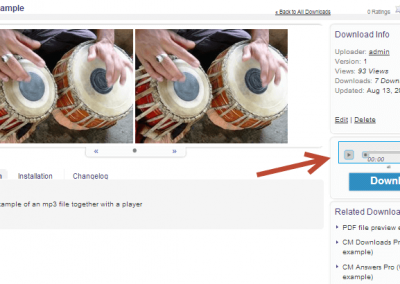 Music preview on the downloads page of the WP Download and File Manager