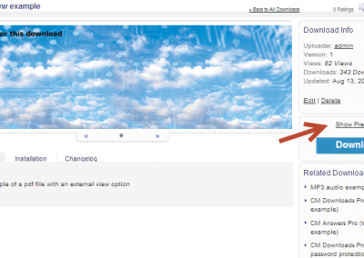 Downloads page of the WP Download and File Manager